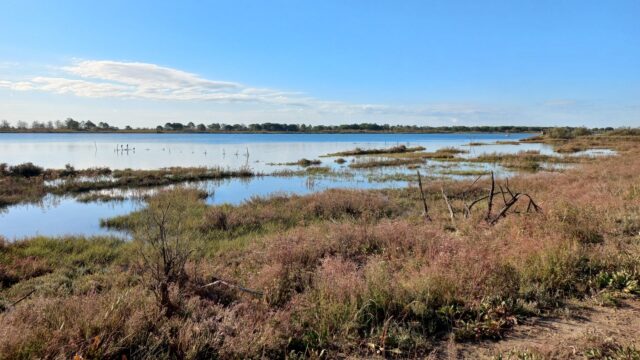 Camminata-dellecobenessere-Laguna-del-Mort