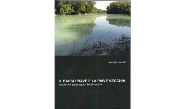 IL BASSO PIAVE