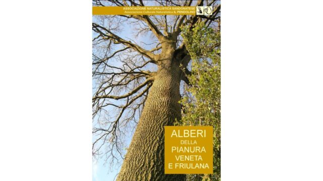 alberi pianura veneta