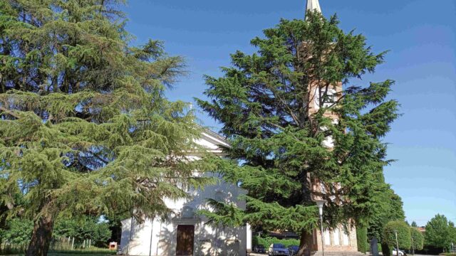 CHIESA DI SAN GIORGIO MARTIRE