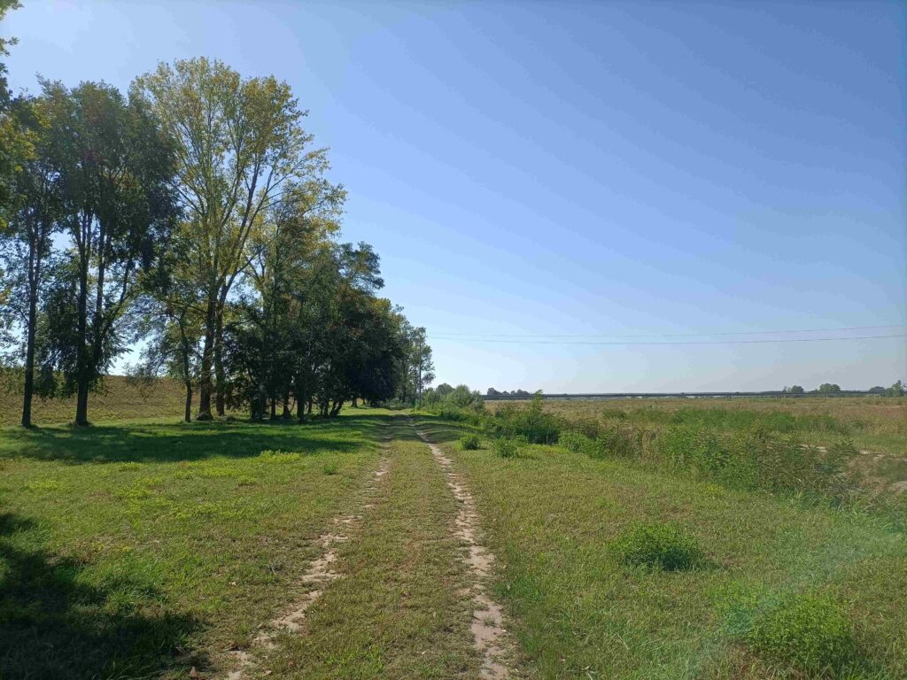 PARCO DEL CANALE CAVRATO