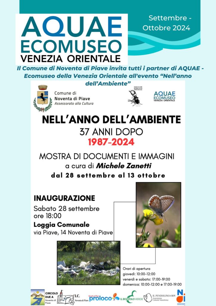 Nell’anno dell’Ambiente